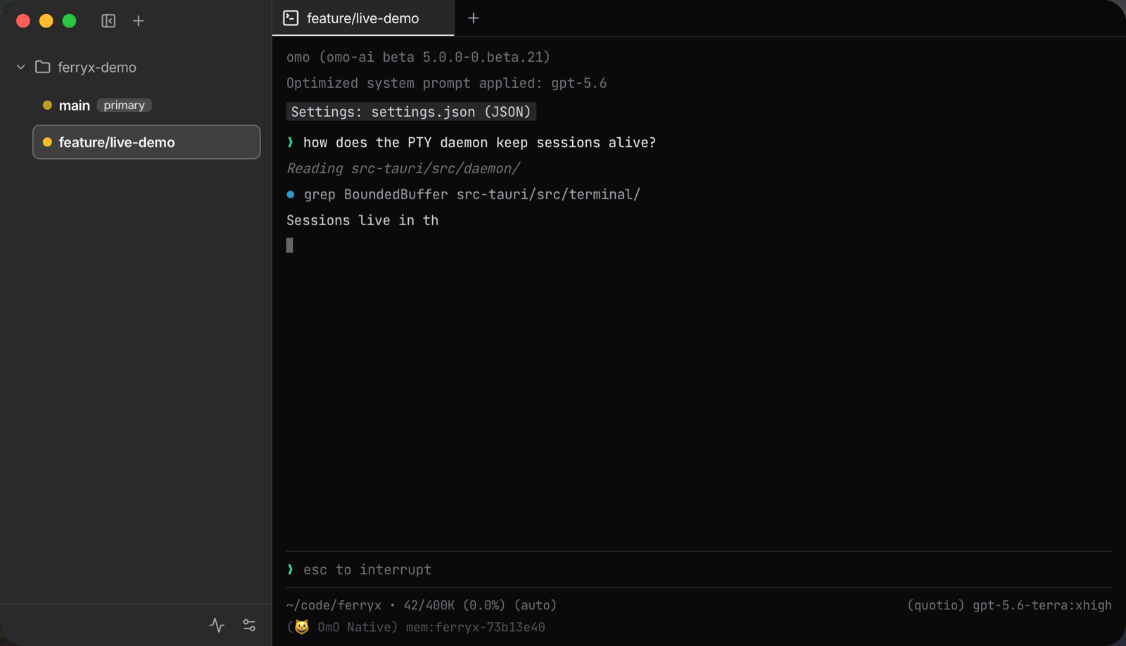 Selecting the feature/live-demo worktree in the sidebar opens a terminal in that checkout